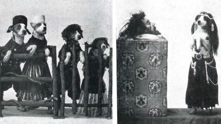 Dressierte Hunde in Kostümen spielen im Jahr 1909 das Stück "Die Entführung der Salome" im Berliner "Wintergarten"-Varieté. 