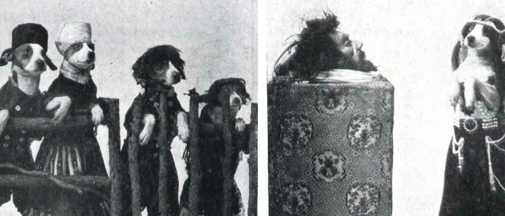 Dressierte Hunde in Kostümen spielen im Jahr 1909 das Stück "Die Entführung der Salome" im Berliner "Wintergarten"-Varieté.