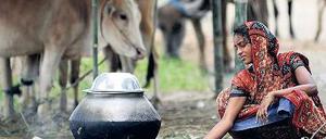 Für Topf und Kopf. Manche NGOs schulen Frauen, damit sie möglichst vitaminreich kochen.