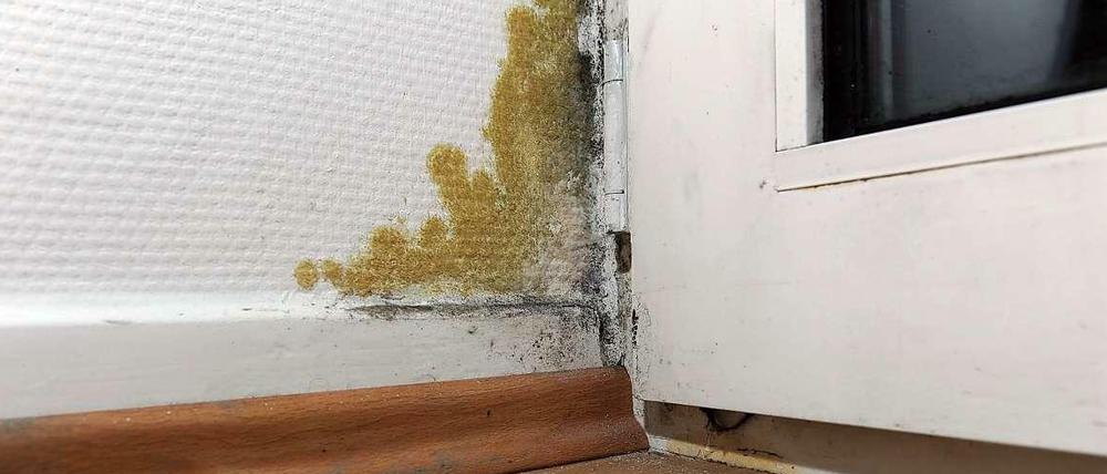 Wer den Schaden hat. Sind - zum Beispiel bei Schimmelbefall - Instandsetzungen am Haus "sofort" nötig, müssen sich alle Eigentümer an den Kosten beteiligen.