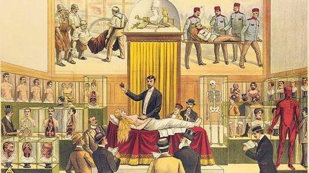 Adolph Friedländers Plakat für ein Anatomisches Museum
