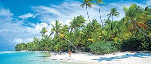 Steueroasen sind nicht mehr sicher. Behörden und Fahnder gehen weltweit auf die Jagd nach Steuerhinterziehern. Wer noch nicht erwischt wurde, kann sich selbst anzeigen.