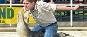 Bitte lächeln! Was im Gatorland Floridas so mit den Reptilien vorgeführt wird, empfiehlt sich nicht zwingend zu Nachahmung.