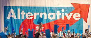 Kommt nicht aus den Schlagzeilen: die Partei "Alternative für Deutschland" (AfD).