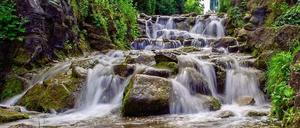 Damit es im Viktoriapark nicht nur noch Wasser gibt, hat die Bezirksverordnetenversammlung beschlossen, den Tierpark zu retten.