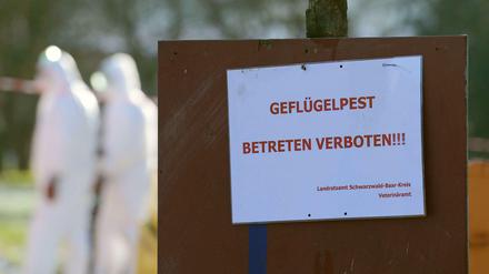 Warnschild für Geflügelpest (Archivbild).