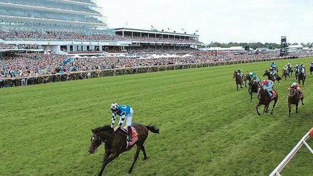 Großer Turf. Jockey Ryan Moore ließ der Konkurrenz mit Protectionist keine Chance.
