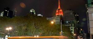 Weniger Ratten als gedacht: New York.