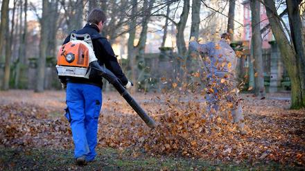 Laubbläser sind für viele Menschen eine große Plage. In Eschweiler bei Aachen haben sich jetzt gewaltbereite Anwohner zusammengerottet, um gegen einen Laubbläser vorzugehen.