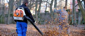 Laubbläser sind für viele Menschen eine große Plage. In Eschweiler bei Aachen haben sich jetzt gewaltbereite Anwohner zusammengerottet, um gegen einen Laubbläser vorzugehen.