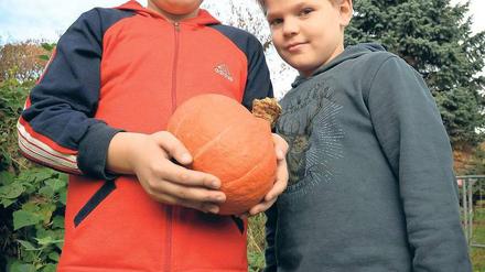 Vorher, nachher. Kinder aus der Neuköllner Schillingschule ernten in der Gartenarbeitsschule Kürbisse und kochen dann damit. 