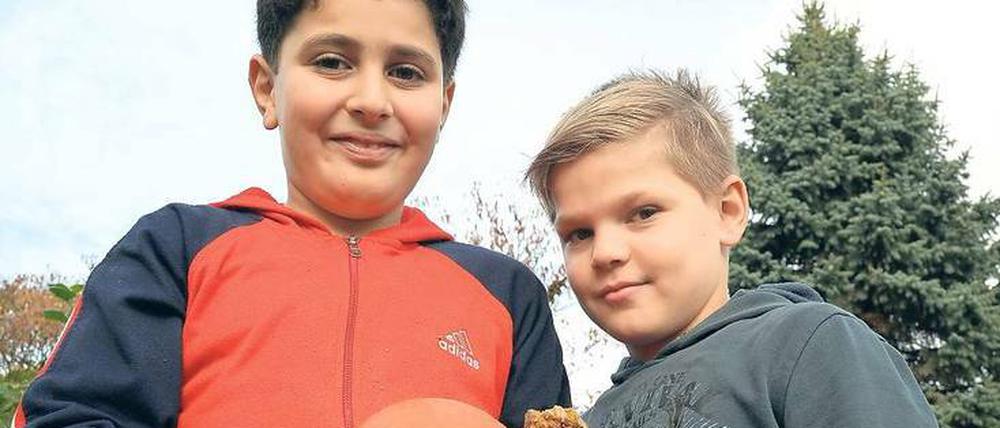 Vorher, nachher. Kinder aus der Neuköllner Schillingschule ernten in der Gartenarbeitsschule Kürbisse und kochen dann damit.