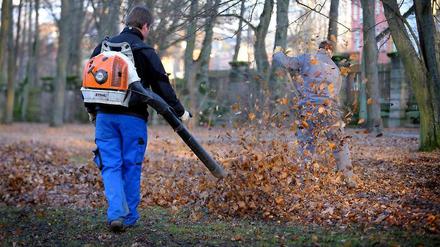 Alle sind gegen Laubbläser. Aber kann man Nachbarn nicht auch etwas Belästigung zumuten?