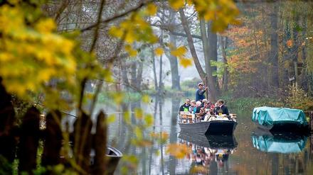 Langer, ruhiger Fluss. Der enorme Gebietszuwachs von Brandenburg ist leider nur virtuell – aber auf den Spreewaldkähnen ist im Spätherbst allemal genug Platz. 