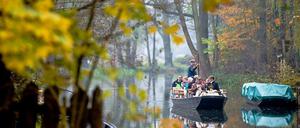 Langer, ruhiger Fluss. Der enorme Gebietszuwachs von Brandenburg ist leider nur virtuell – aber auf den Spreewaldkähnen ist im Spätherbst allemal genug Platz. 