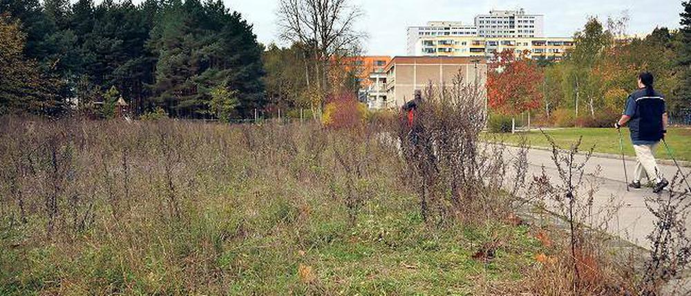 Brachliegende Gefühle. Auf diesem Grundstück zwischen zwei Kitas und zwei Seniorenheimen sollen bald Flüchtlinge in Containern wohnen. Viele Anwohner sind beunruhigt.