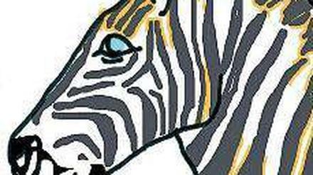Das Grevyzebra.