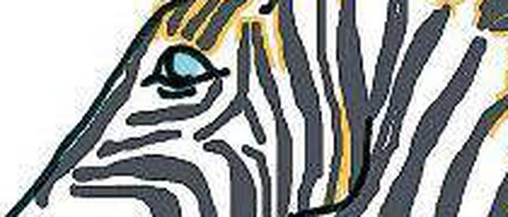 Das Grevyzebra.