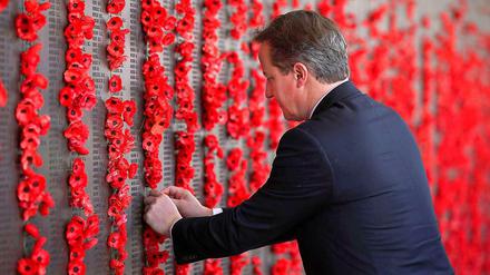Großbritanniens Premierminister David Cameron befestigt Poppies an einer Weltkriegs-Gedenktafel.