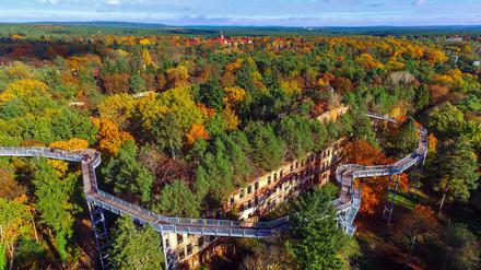 Der Baumwipfelpfad in Beelitz-Heilstätten.