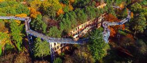Der Baumwipfelpfad in Beelitz-Heilstätten.