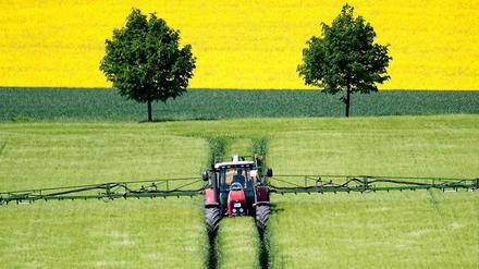 Landwirte fürchten um ihre Existenz.