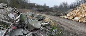 Die Bauschuttdeponie im Berliner Tierpark soll vielleicht für Wohnungen genutzt werden.