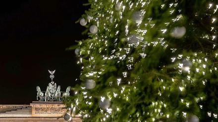 Es weihnachtet sehr. Aber nur kurz. Die Bäume stehen schon aber jetzt wird es wieder warm.