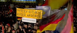 Demonstranten in Dresden.