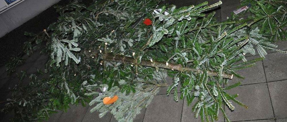 Der Baum musste daran glauben, weil einige Menschen die Botschaft von Weihnachten nicht verstehen.
