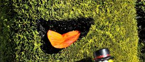 Mildes Wetter lässt beinahe sogar den Plastik-Weihnachtsmann schmelzen. Demnächst können die Deutschen auch echte bauen - allerdings nur ab einer Höhe von 400 Metern.