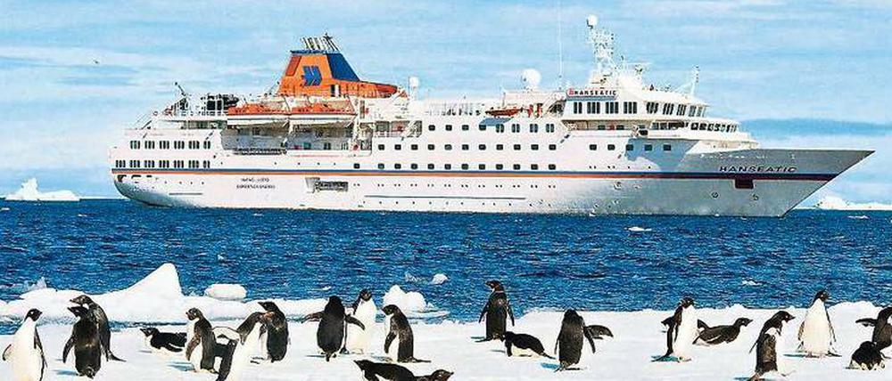 Schon wieder ein Schiff, mögen diese Pinguine denken. Ja, das Interesse an Seereisen ist ungebrochen, wobei die Antarktis schon ein recht exklusives Ziel ist.