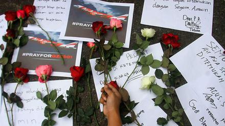 Die Gründe für den Absturz der Air-Asia-Maschine QZ8501 sind noch immer unklar. 