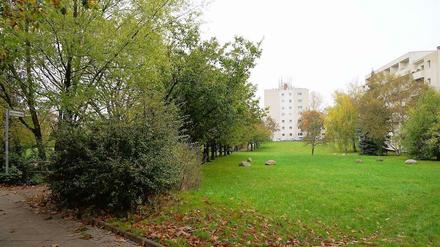 Die Cornelsenwiese in Berlin-Schmargendorf.