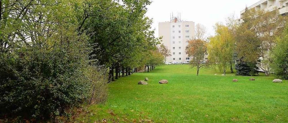 Die Cornelsenwiese in Berlin-Schmargendorf.