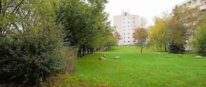 Die Cornelsenwiese in Berlin-Schmargendorf.