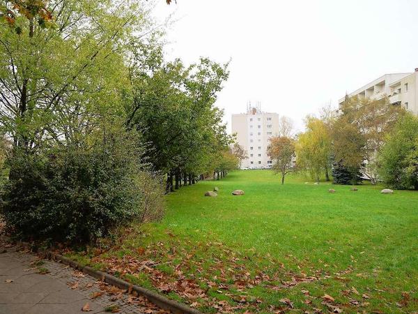 Die Cornelsenwiese in Berlin-Schmargendorf.