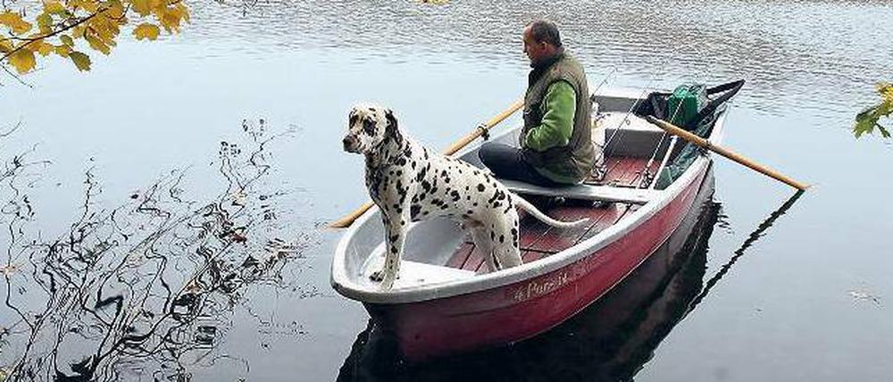 Grenzfall. Ob dieser Hund den Schlachtensee legal verlassen kann, scheint fraglich. Perspektivisch wird er sich wohl ein anderes Gewässer suchen müssen. Foto: dpa/Stephanie Pilick