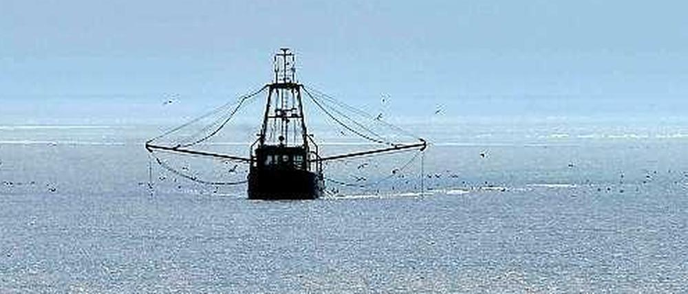 Ein Fischkutter.