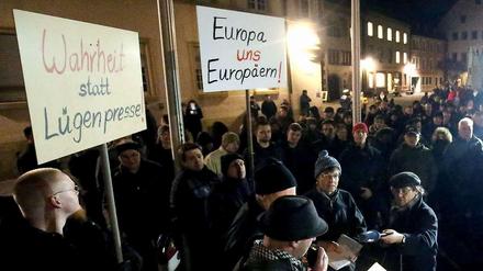 "Lügenpresse" - Unwort des Jahres. Demonstration der "Sbh-Gida" in Villingen-Schwenningen am 12. 1. 2015.