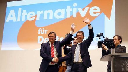 Der Hamburger Spitzenkandidat Jörn Kruse an der Seite von AfD-Chef Bernd Lucke.