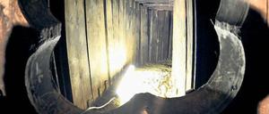 Am Ende des Tunnels. Die Polizei ging 800 Hinweisen nach und setzte 50.000 Euro Belohnung aus – vergeblich.