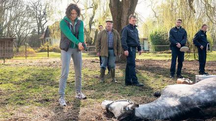 Der Tierquäler hat wieder zugeschlagen. Lena Odenthal (Ulrike Folkerts) gibt dem Pferd den Gnadenschuss. Foto: SWR