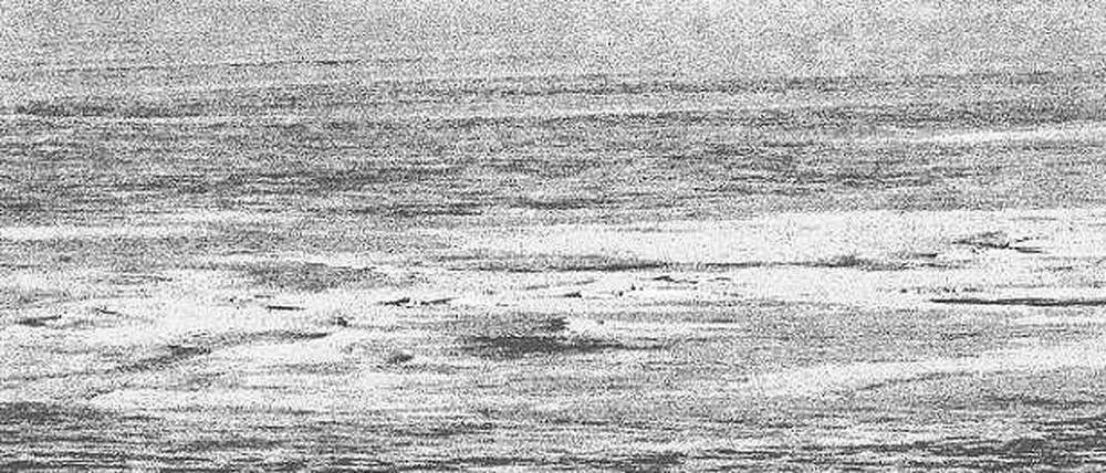 Eine ringförmige Bruchstruktur im Schelfeis der Antarktis. Möglicherweise stammt der gigantischen Eiskrater vom Einschlag eines außerirdischen Körpers.