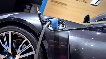 Der Anteil von Elektroautos am Fuhrpark der Bundesbehörden soll deutlich steigen, fordern die Parlamentarier. 
