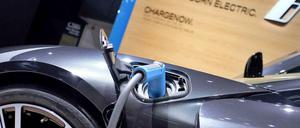 Der Anteil von Elektroautos am Fuhrpark der Bundesbehörden soll deutlich steigen, fordern die Parlamentarier.