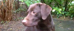 Eddy ist traurig. Und erklärt im Interview, warum er die Entscheidung für falsch hält.