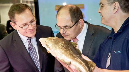 Männer, die auf Fische starren. Berlins neuem Regierenden Bürgermeister Michael Müller (links, SPD) und Bundeslandwirtschaftsminister Christian Schmidt (CSU) fehlte noch die Wowereit’sche Gelassenheit, die Narreteien der Agrarmesse abzuwehren.