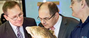 Männer, die auf Fische starren. Berlins neuem Regierenden Bürgermeister Michael Müller (links, SPD) und Bundeslandwirtschaftsminister Christian Schmidt (CSU) fehlte noch die Wowereit’sche Gelassenheit, die Narreteien der Agrarmesse abzuwehren. 