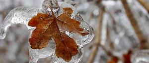 Blitzeis kann sehr schön sein, wie hier zu sehen. Es führt jedoch auch zu Massenkarambolagen auf Autobahnen, wie am Montag im Nordosten der USA.